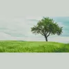 Heartland Funeral Services