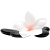 Country Club Massage Therapy