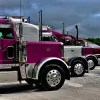 Maye Transport
