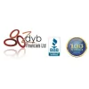 Zdyb Financials