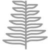 Silver Fern Stainless