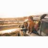 Tasman Financial Service