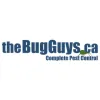 The Bug Guys