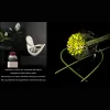 The Chocolate Tulip