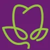 Rockland Dental Centre