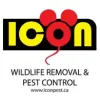 Icon Pest