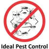 Ideal Pest Control