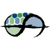 Wealthy Tortoise Financial Group
