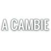 A Cambie Grease Cleaning