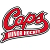 St John's Minor Hockey Association