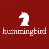 Hummingbird Lawyers