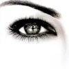 Opti-Vision
