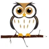 Owl Education