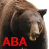 ABA Machine & Manufacturing
