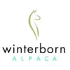 Winterborn Alpaca