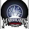Marshlands Factory Outlet