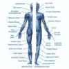 Destination Health-Wellness