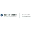 Blackcreek Investment Management