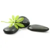 Family Acupuncture Wellness Clinic