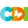 Child Development Institute