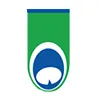 Peacock Rug Care