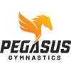 Pegasus Gymnastics