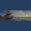 The Art of Harmony Acupuncture