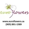 Euro Flowers