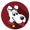 newdog
