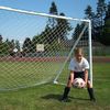 Farpost Soccer Goals
