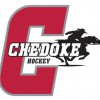 Chedoke Minor Hockey