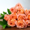 Westmount Florist