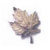 Golden Leaf Electrical