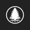 B C Tree Service