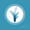Springs Eternal Natural Health