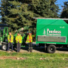 Peerless Tree Service