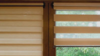 Zebra Blinds