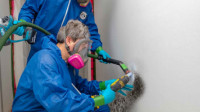 Mould Remediation