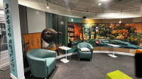 Environmental Graphics