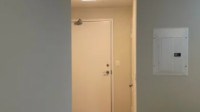 Stucco Repair & Painting