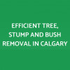 Rob's Tree Removal