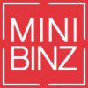 Mini Binz